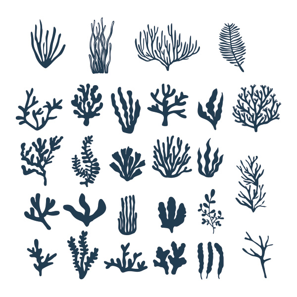 LOBITOS SURF SCHOOL BRAND PATTERN 02